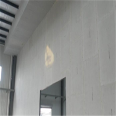 徐闻宁波ALC板|EPS加气板隔墙与混凝土整浇联接的实验研讨